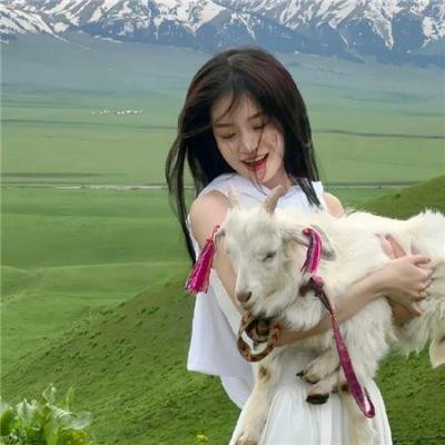 犯罪心理第十二季