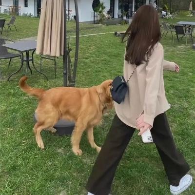 罗伯特·齐默尔曼的爱情