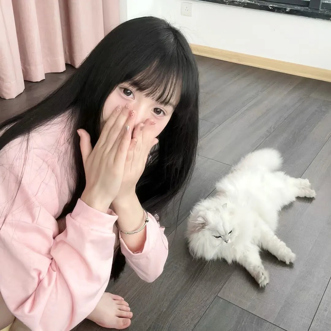 爱丽丝